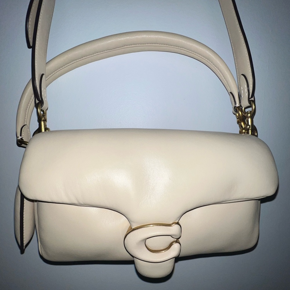 NWOT Coach Pillow Tabby